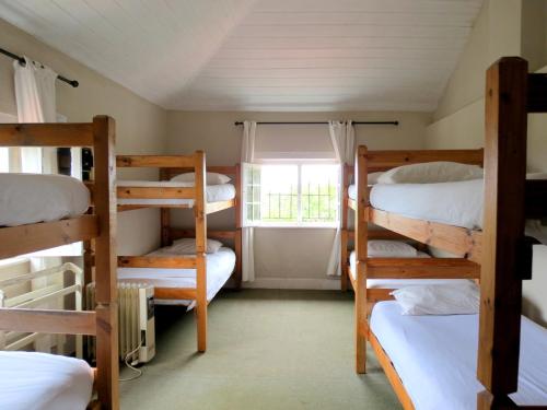 维德尼斯Fairy Knowe Backpackers的客房设有四张双层床和窗户。