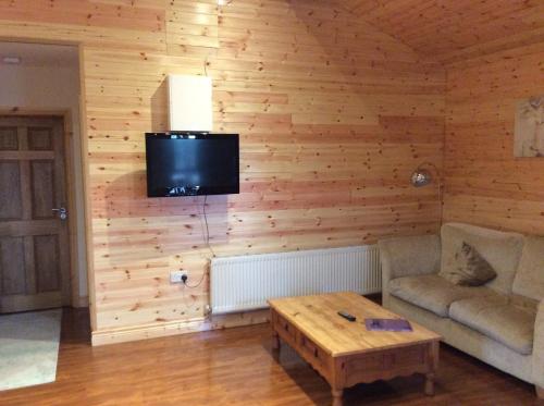 利默里克Butterfly cabin的客厅配有沙发和墙上的电视