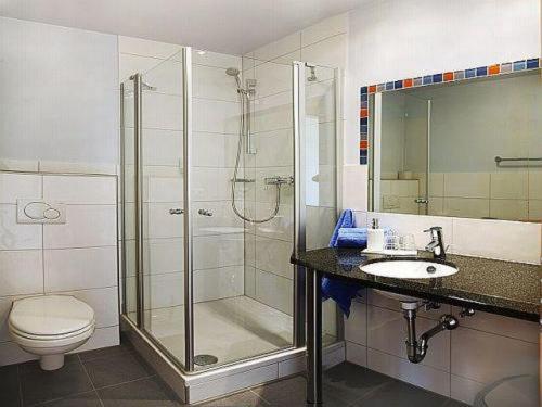霍赫斯特加尔尼戴斯睿智酒店的带淋浴、卫生间和盥洗盆的浴室
