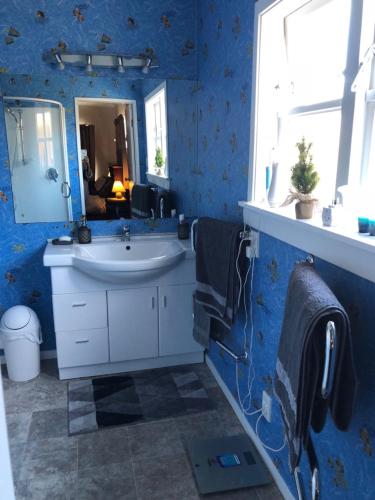上哈特A Cozy Room with It's Own Privacy的蓝色的浴室设有水槽和镜子