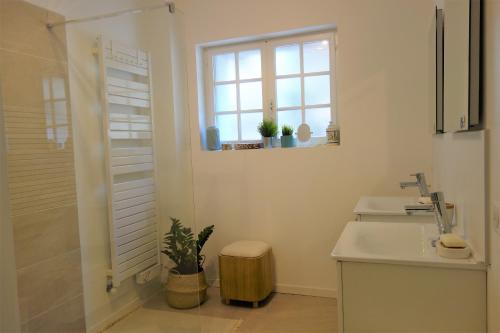 LimerayLA MAISON DE ROSE的带淋浴和盥洗盆的浴室以及窗户。
