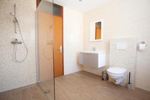 布莱德Hostel LakeBled的带淋浴、卫生间和盥洗盆的浴室