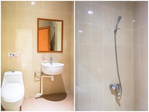 瑟古邦Aviari Hotel的带淋浴、卫生间和盥洗盆的浴室