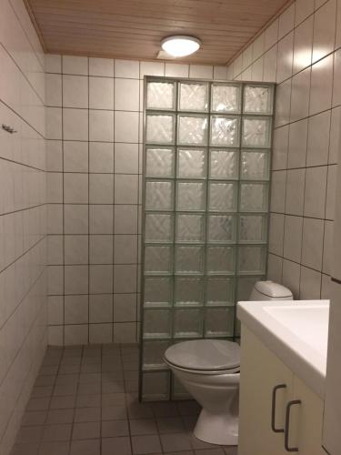 维泽桑讷Hvide Sande Beach Apartments的一间带卫生间和玻璃墙的浴室