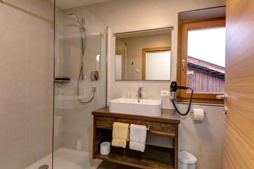 费尔代斯Apparthotel Marteshof的一间带水槽和淋浴的浴室