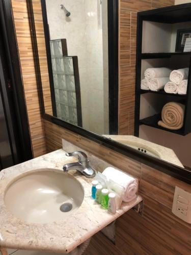 韦拉克鲁斯VF Villa Florencia Hotel的一间带水槽和镜子的浴室