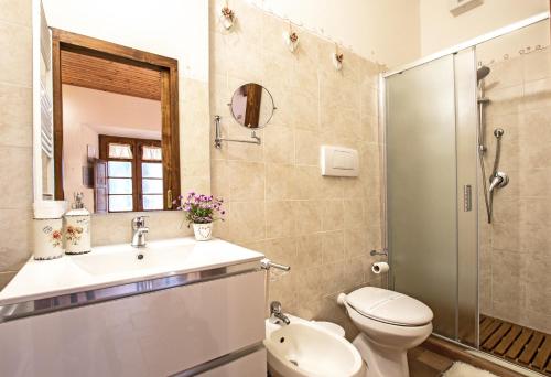 卡斯蒂戈隆·多尔希亚Agriturismo Il Poderuccio的浴室配有卫生间、盥洗盆和淋浴。