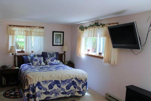 沃尔卡诺Country Goose的一间卧室配有一张床和一台平面电视