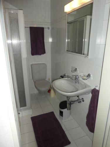 卢塞恩卡斯塔尼恩巴姆公寓的白色的浴室设有水槽和卫生间。