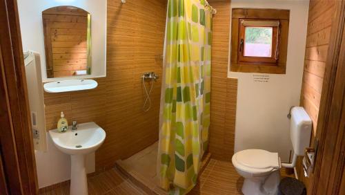 红湖Casutele Suhardul Mic的一间带水槽、卫生间和淋浴的浴室