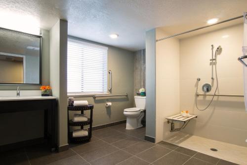 南太浩湖艾祖尔酒店的浴室配有卫生间、盥洗盆和淋浴。