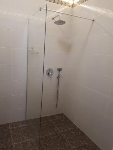 敖德萨Apartments Lutsdorf的浴室里设有玻璃门淋浴
