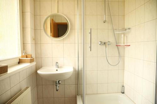 赖因斯贝格Seepavillon Rheinsberg的带淋浴、盥洗盆和镜子的浴室