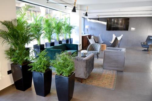 帕特雷阿多尼斯城市酒店的大堂里种着许多盆栽植物