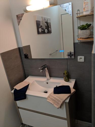 布鲁瓦Appartement au cœur du centre ville de Blois的一间带水槽和镜子的浴室