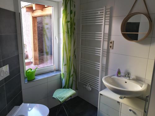 巴特"kleine Boddenburg"的一间带水槽和镜子的浴室