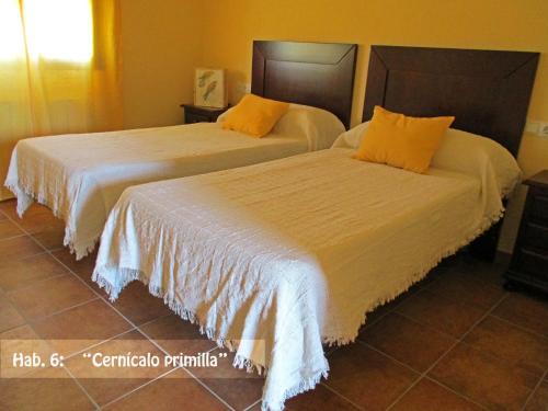 Casas de Don PedroCasa Rural El Nidal的相册照片