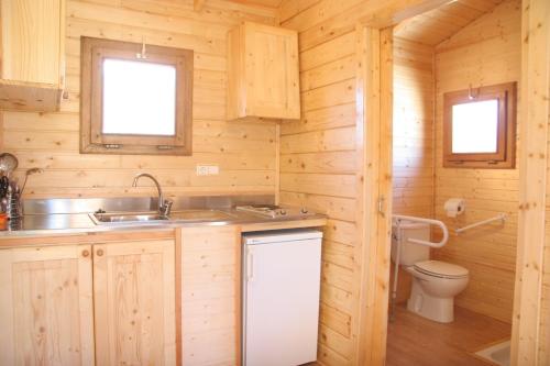 PanzanoCamping Cañones de Guara y Formiga的小木屋内的厨房设有水槽和卫生间