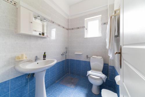 普拉基亚斯卡斯希尔尼公寓的蓝色和白色的浴室设有卫生间和水槽
