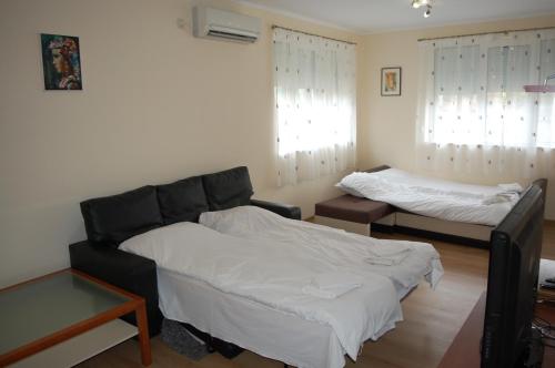 特里亚夫纳Hotel Vitosha的一间带两张床和一张沙发的客厅