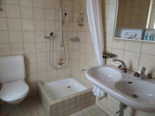Alt Sankt JohannLandhaus an der Thur的浴室配有卫生间、盥洗盆和淋浴。