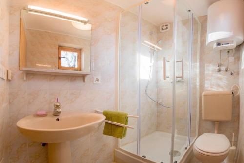 ZalogLittle dream house in a perfect spot的带淋浴、盥洗盆和卫生间的浴室