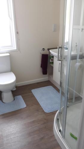 芬当Luxury 6 berth lodge at Quince 10的浴室配有卫生间、盥洗盆和淋浴。