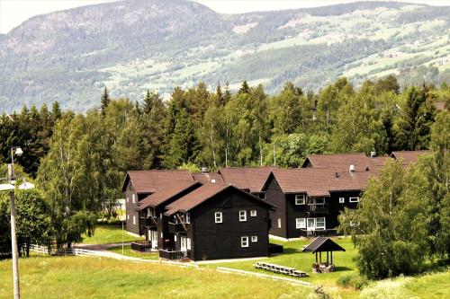 哈山Hafjell Alpinlandsby Pluss的享有高山房屋的空中景致