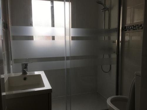 阿尔豪林德拉托里Vakantieverblijf Villa Kluever的带淋浴和盥洗盆的浴室