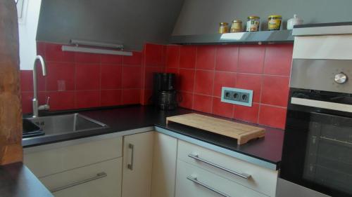 MarkneukirchenSchuster Villa的墙上铺有红色瓷砖的小厨房