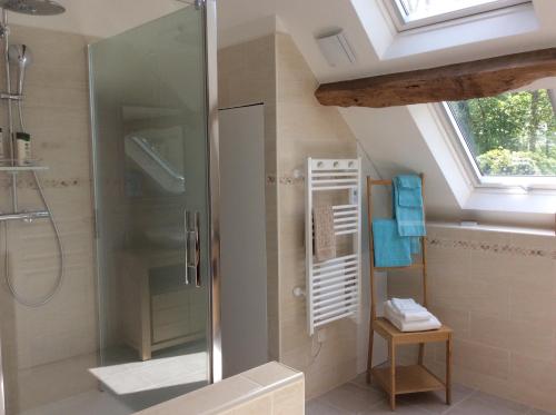 BoutignyL’Orme des voyageurs的带淋浴和玻璃淋浴间的浴室