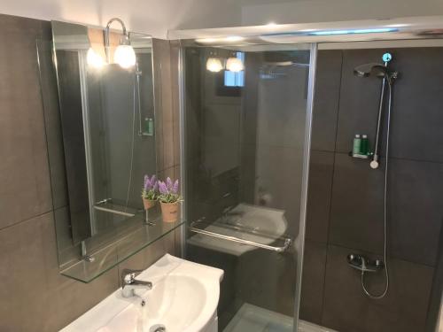 波利斯Tina’s Cozy Studio的浴室配有盥洗盆和带镜子的淋浴