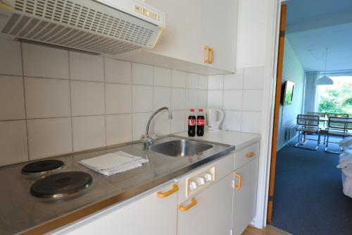 内克瑟巴尔卡斯特瑞德酒店的厨房配有水槽和台面