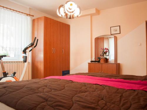 特伦塔Apartments and rooms Nataša 1的相册照片
