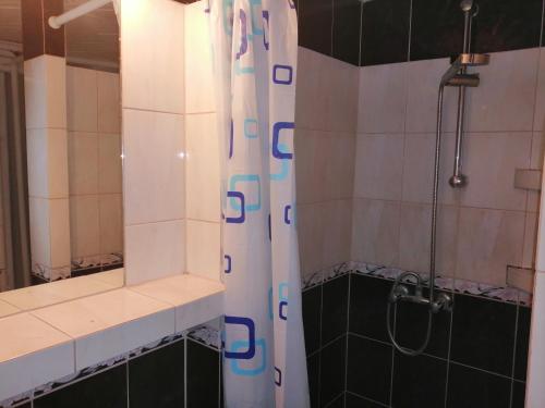 波莫瑞地区德拉夫斯科Apartament Wiki的一间带镜子和淋浴的浴室