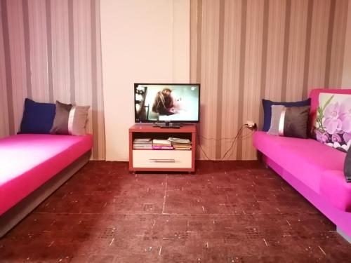 波莫瑞地区德拉夫斯科Apartament Wiki的一间带两张床和电视的客厅
