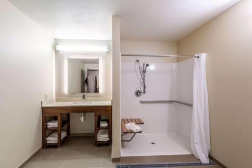 埃斯卡诺巴埃斯卡诺巴康福特套房酒店的带淋浴和盥洗盆的浴室