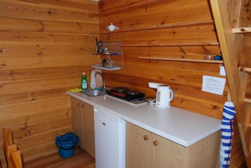 辛安诺泽蒂Domki u Wladka的一间带木墙和柜台的小厨房