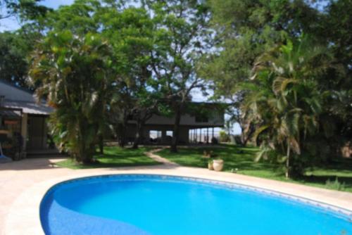 帕特拉德拉帕特拉TERRAZA AL RIO 2的一座树木繁茂的房屋前的游泳池