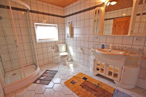 马尔肖Ferienhaus Malchow SEE 4901的一间带水槽、淋浴和卫生间的浴室