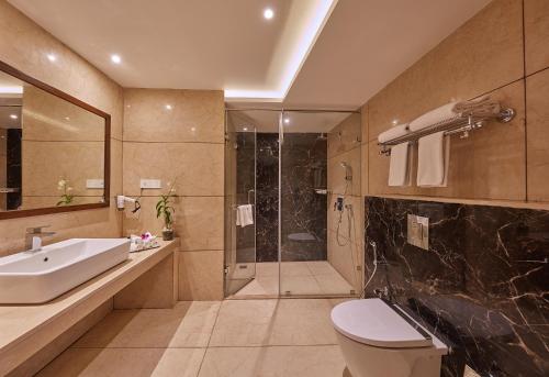 德瓦纳哈利-班加罗尔Shivas Galaxy Hotel的浴室配有盥洗盆、卫生间和淋浴。