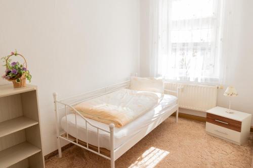 勒鲍Ferienwohnung, Messenah, ruhige Stadtlage Löbau的窗户客房内的一张白色床