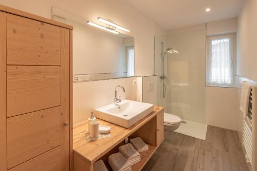 安泰塞尔瓦·迪·梅佐圣瓦尔布格公寓旅馆的一间带水槽、卫生间和淋浴的浴室