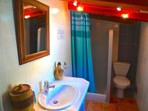 科尔巴拉A ChiOsella的一间带水槽、卫生间和镜子的浴室