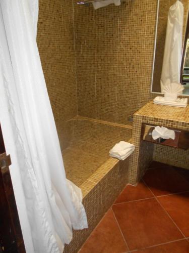圣米格尔-德阿连德Hotel Hacienda Taboada (Aguas Termales)的带淋浴和浴帘的浴室