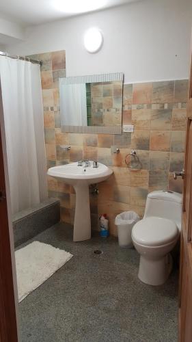甘博阿Gamboa Apartment Toucan y Studio Ñeque的一间带水槽、卫生间和镜子的浴室