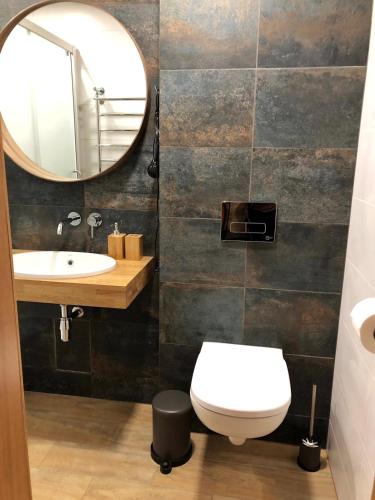 斯米尔泰内Kaktuss apartamenti Smiltene的一间带水槽、卫生间和镜子的浴室