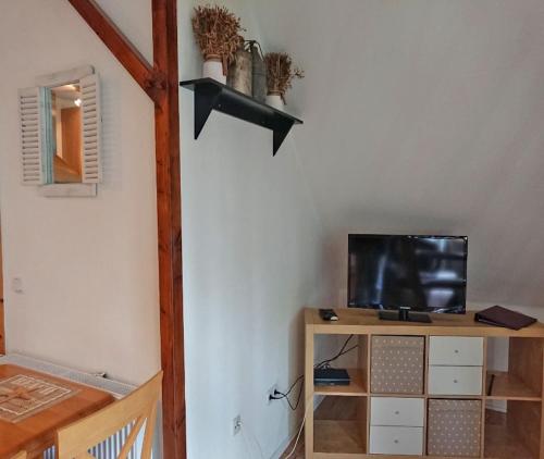 VipperowFerienhof direkt an der Mueritz SEE 10030的客厅设有木架上的电视