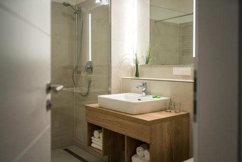 瓦伦Müritzpalais的浴室配有盥洗盆和带镜子的淋浴