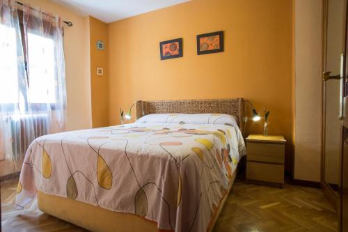 阿维拉VUT夫鲁塔广场公寓的一间卧室,卧室内配有一张大床
